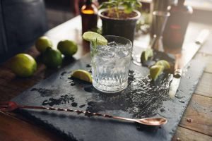 gin - drinks com gin