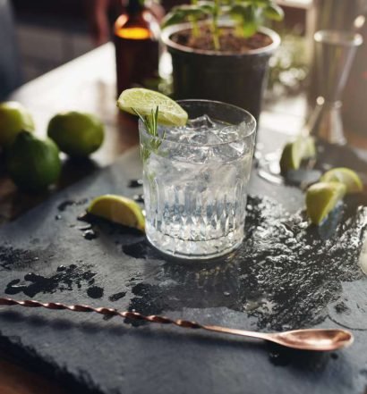 drink com gin