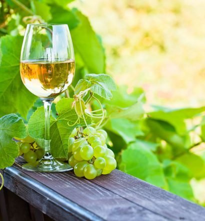 vinho verde capa 2
