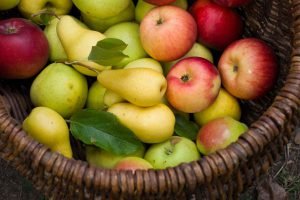 guardar frutas e vegetais - fruteira