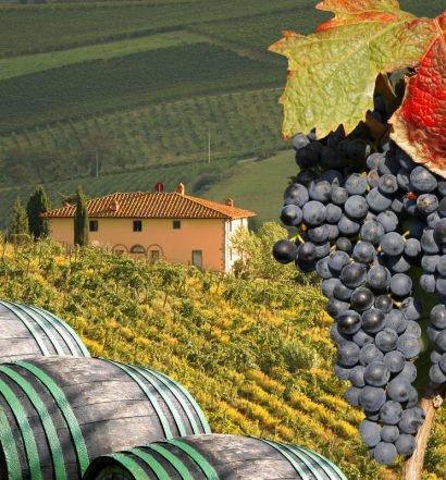 vinhos europeus - capa