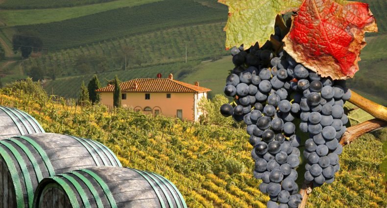 vinhos europeus - capa