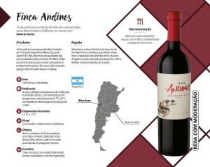 folder andinos
