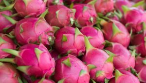 pitaya - casca
