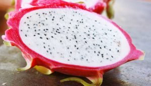pitaya - interior