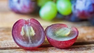 frutas da estação natal - uva