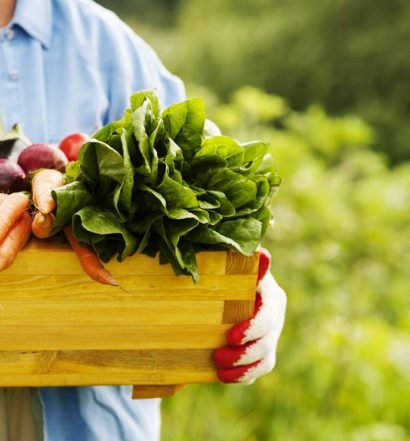 alimentos organicos - capa