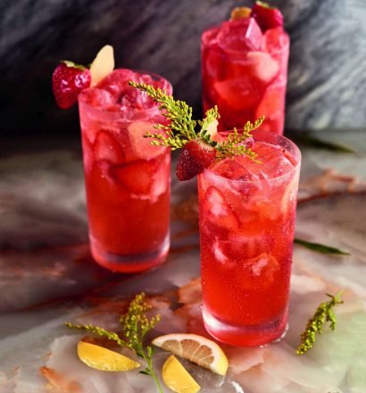 gin tônica tropical - capa