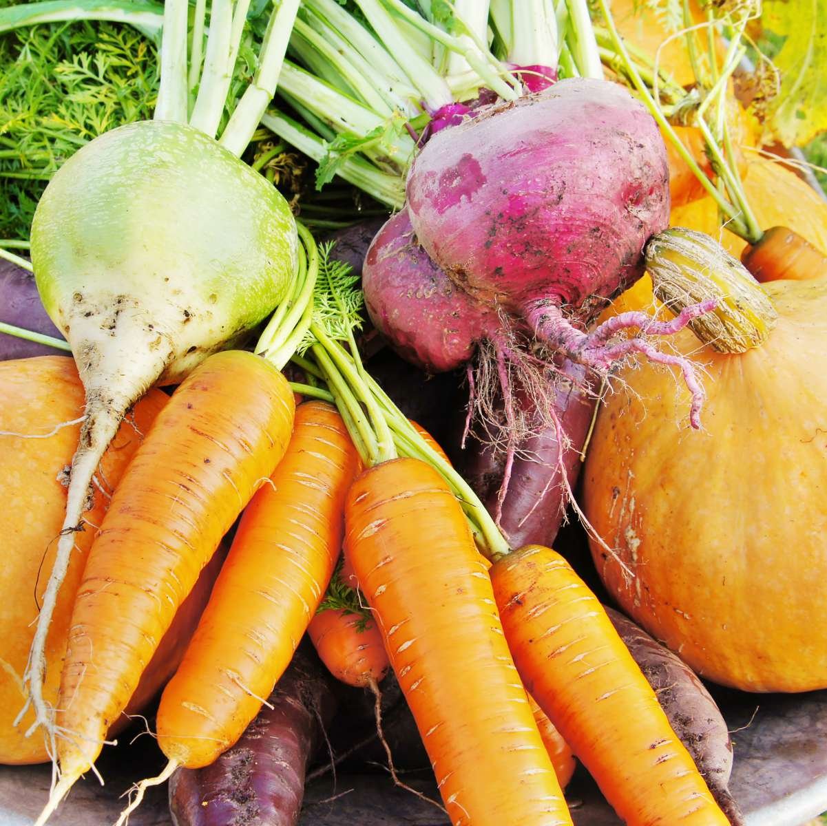 frutas, legumes e vegetais de maio - capa - Blog do Pão, image size:1201x1200