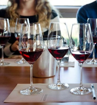 degustação de vinhos - capa