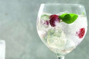 Copo de gin tônica com framboesas e folhas verdes