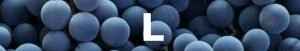 letra L