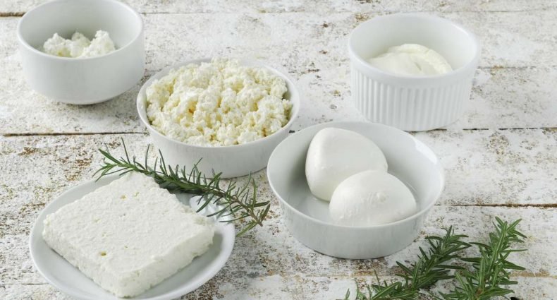 queijos frescos - capa