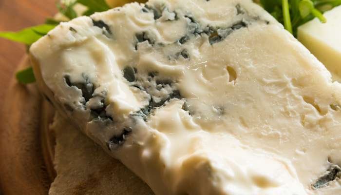 queijos macios - gorgonzola