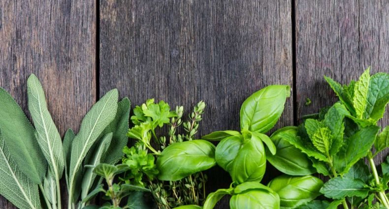 ervas aromáticas - capa