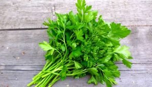 ervas aromáticas - salsa