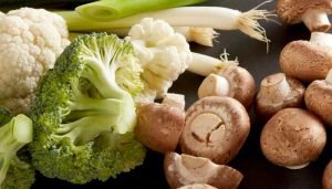 verduras de setembro - legumes