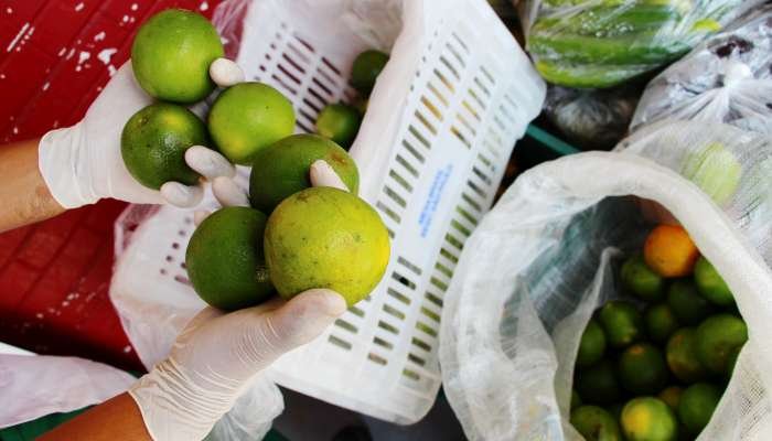 desperdício de alimentos - texto