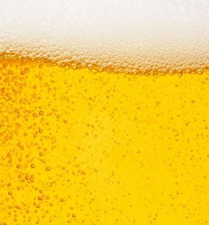 guia da cerveja - capa