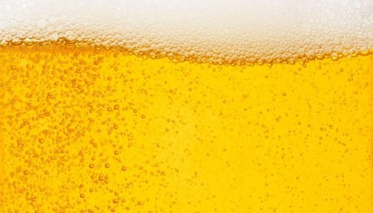 Guia da Cerveja: Tudo que você precisa saber sobre essa bebida!