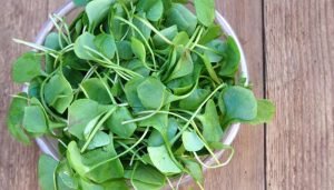 salada verde - agrião