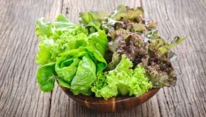 salada verde - alface