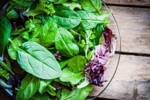 salada verde - capa