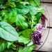 salada verde - capa