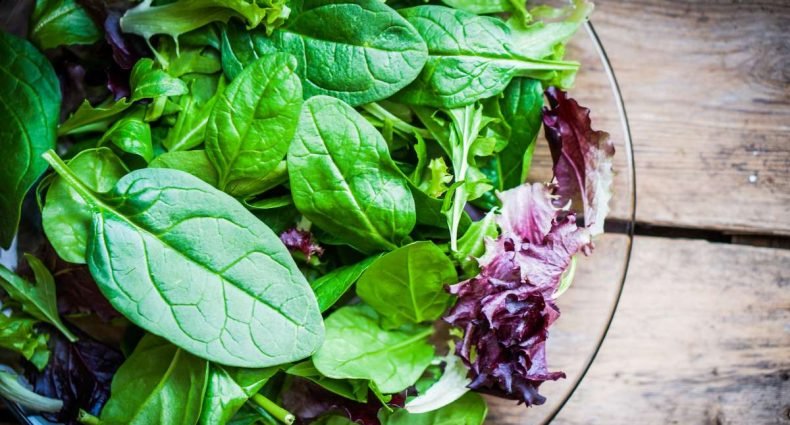 salada verde - capa