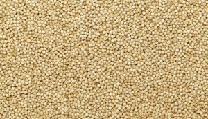quinoa - proteína vegetal