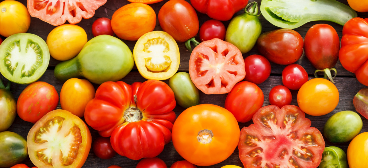 curiosidades sobre o tomate - capa