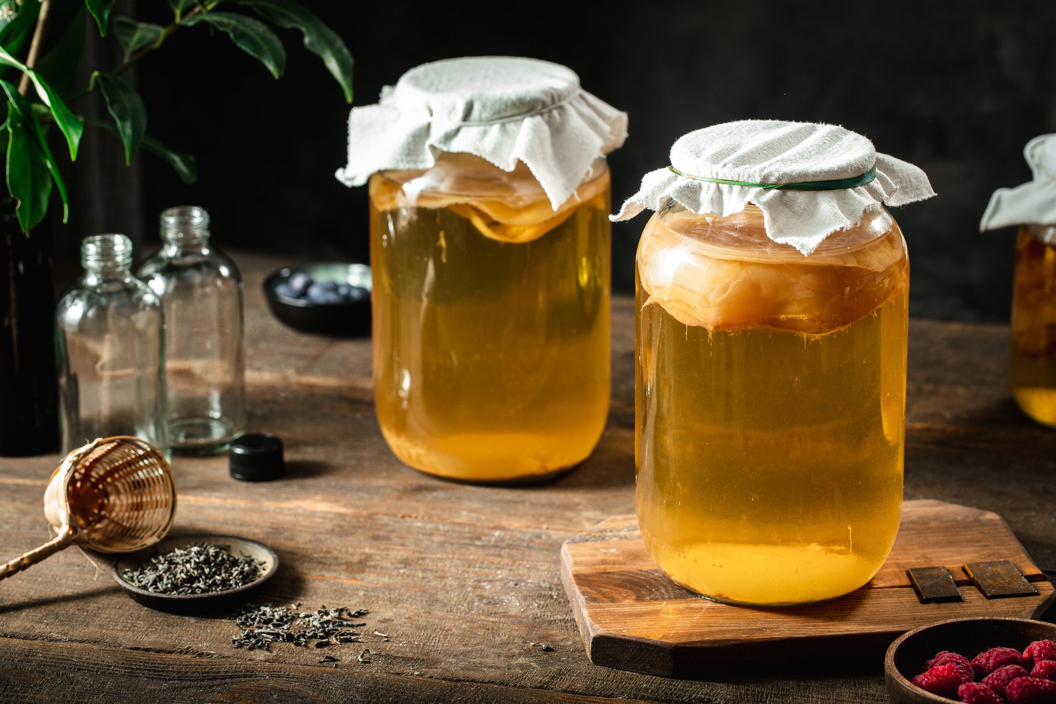 O que é kombucha? Benefícios e como incluir na rotina