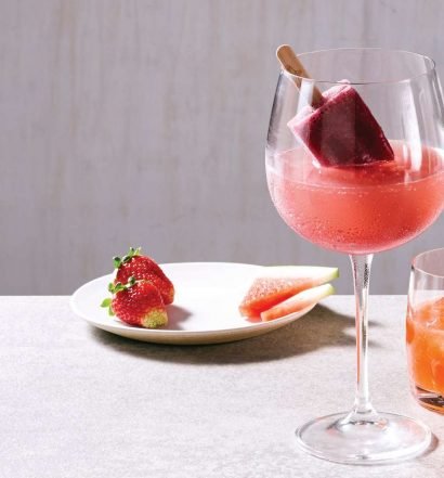 gin popsicle - capa