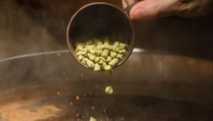 o que é lúpulo - texto 2