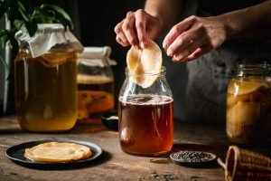 SCOBY (colônia de bactérias e leveduras) sendo usado no processo de fermentação do kombucha.