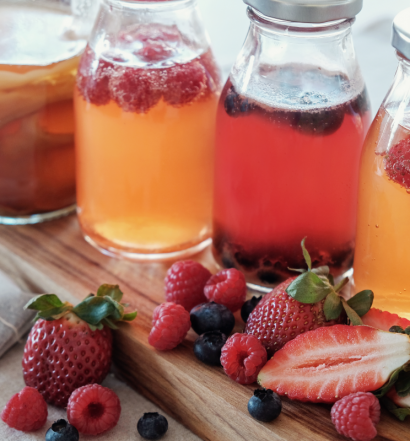 receitas de kombucha - capa