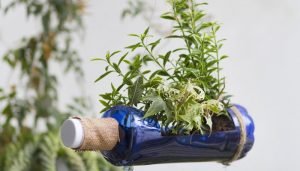 fazer um jardim vertical com temperos pendurado