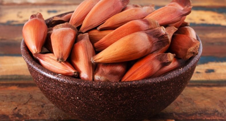 como descascar pinhão