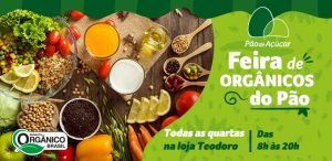 BANNER - BLOG - TEODORO