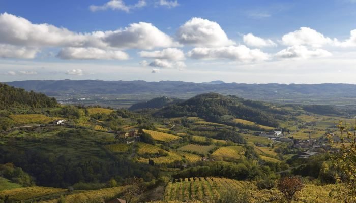 famiglia zonin vista