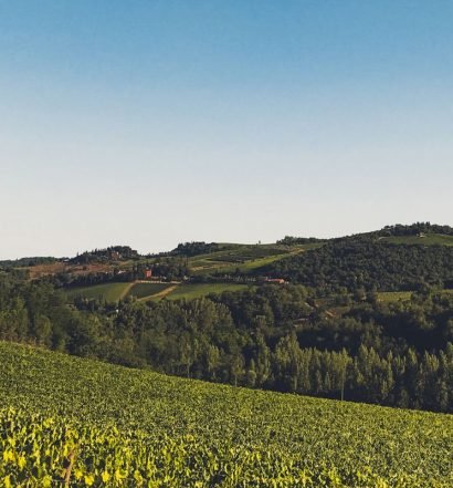 castellani winery visual