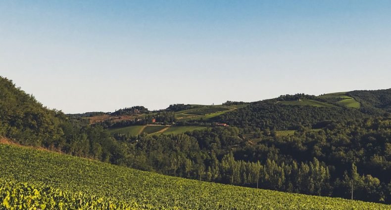 castellani winery visual