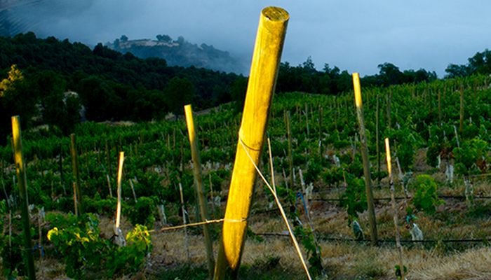 viña luis felipe edwards vista