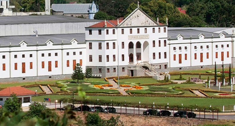 vinícola salton capa