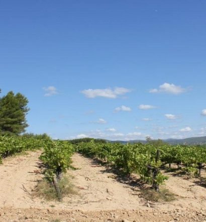 bodegas pinord capa