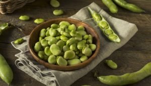 leguminosas fava
