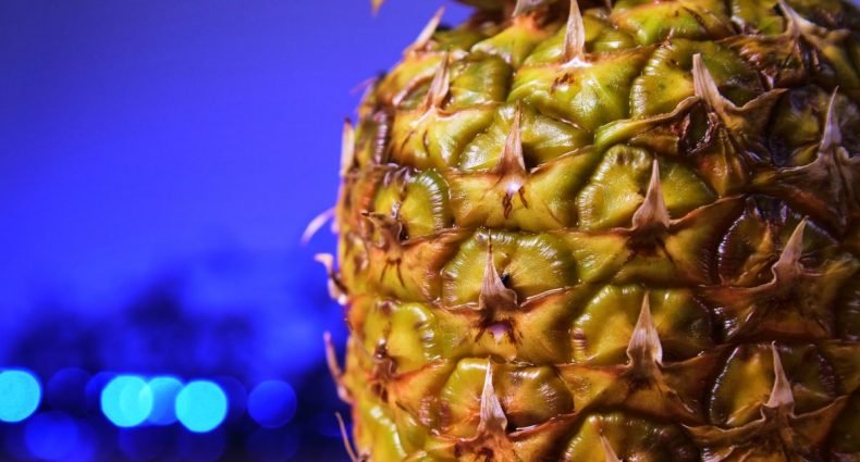 casca do abacaxi capa