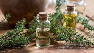 para que serve o tomilho óleo