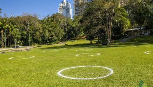 Conheça algumas iniciativas do Pão: a volta aos parques