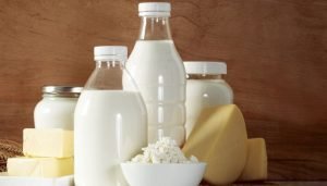 alimentos ricos em cálcio leite e derivados